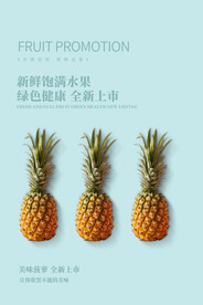 菠萝海报