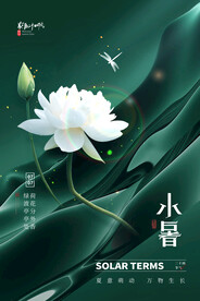 小暑海报