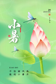 小暑海报