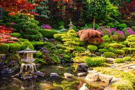 绿色草地