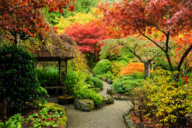 绿色草地