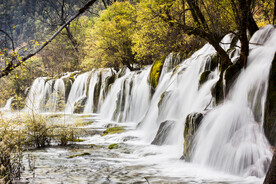 瀑布 溪水 流水 森林 小溪 