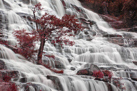 瀑布 溪水 流水 森林 小溪 