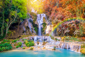 瀑布 溪水 流水 森林 小溪 