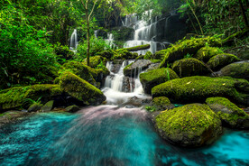 瀑布 溪水 流水 森林 小溪 