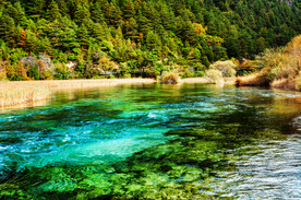 瀑布 溪水 流水 森林 小溪 