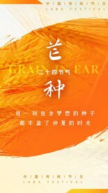 芒种海报