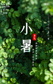 小暑