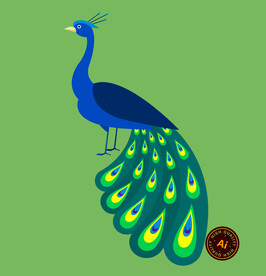 扁平孔雀插画