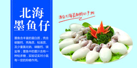 北海墨鱼仔