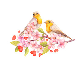 花朵与鸟
