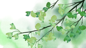 风景插画