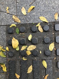 路上的黄叶子