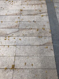 路面 人行道