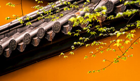 古建筑寺庙 