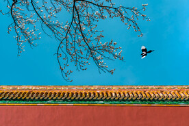 古建筑寺庙 