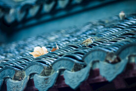 古建筑寺庙