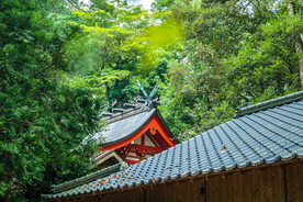 古建筑寺庙 