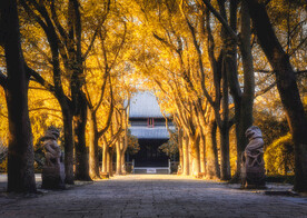 古建筑寺庙 