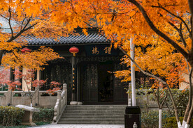 古建筑寺庙 