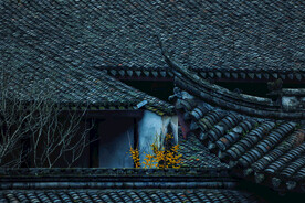 古建筑寺庙 