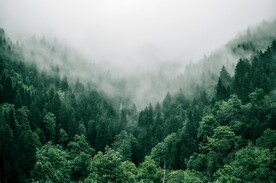 山林摄影