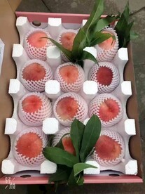 水蜜桃