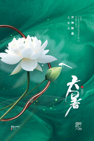 大暑海报