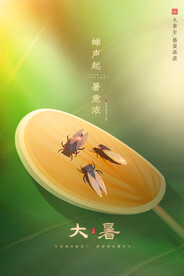 大暑海报