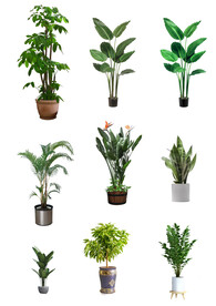 后期绿植素材