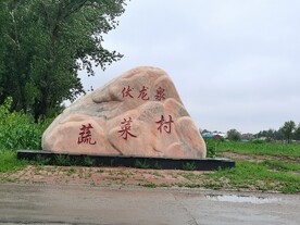 伏龙泉 蔬菜村