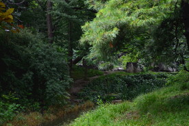 公园风景 