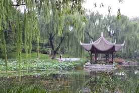 公园风景 