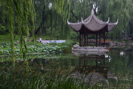 公园风景