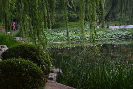 公园风景
