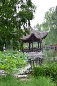 公园风景 