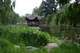 公园风景