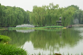 公园风景