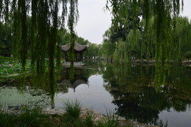 公园风景