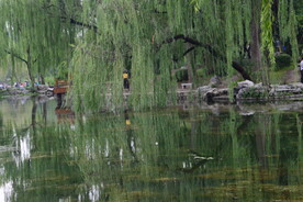 公园风景 