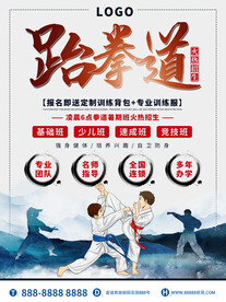 跆拳道海报