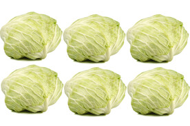 白菜