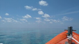 大海