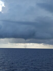 海