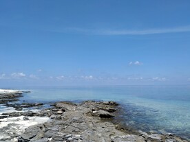 大海