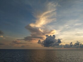 大海