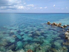 大海