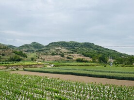 山清水秀
