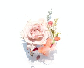 玫瑰