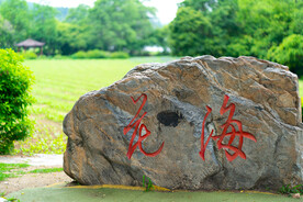 辽宁抚顺萨尔浒风景区花海石